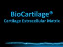 BioCartilage® - Micronized Cartilage Matrix
