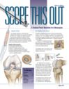 Scope This Out (Spring 2013 - Vol. 15, Number 1)